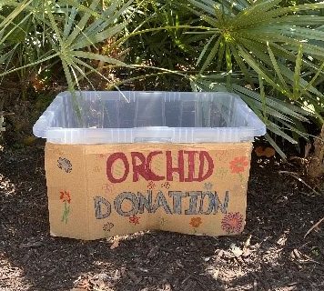 Bin-Orchid-Donations